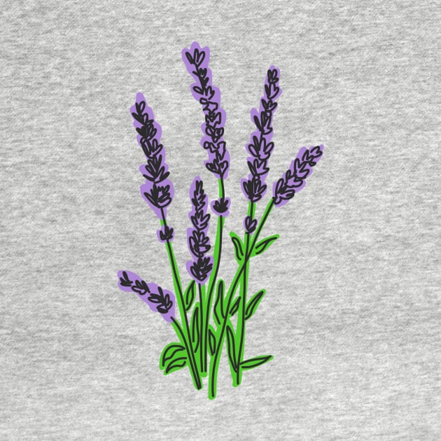 Lavender by panco